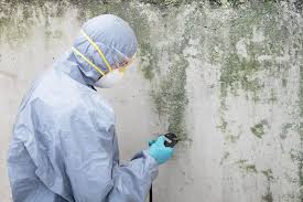 Mold Odor Removal Services in Mission Hills, CA